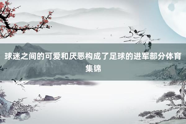 球迷之间的可爱和厌恶构成了足球的进军部分体育集锦