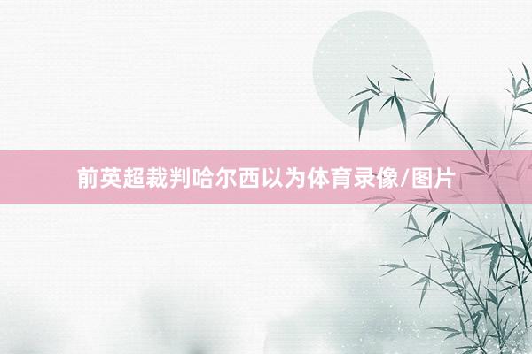 前英超裁判哈尔西以为体育录像/图片