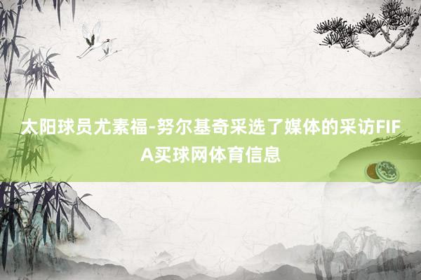 太阳球员尤素福-努尔基奇采选了媒体的采访FIFA买球网体育信息