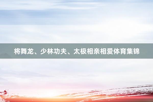 将舞龙、少林功夫、太极相亲相爱体育集锦