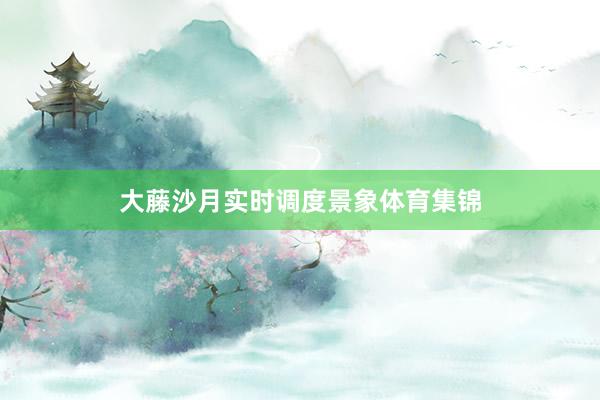 大藤沙月实时调度景象体育集锦