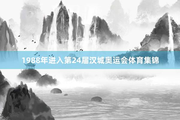 1988年进入第24届汉城奥运会体育集锦