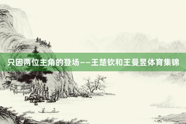 只因两位主角的登场——王楚钦和王曼昱体育集锦