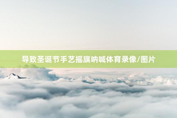 导致圣诞节手艺摇旗呐喊体育录像/图片