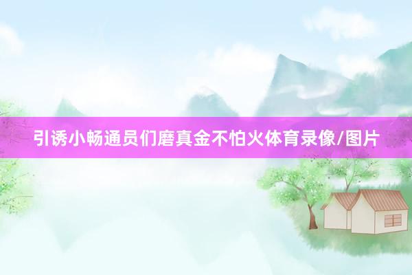 引诱小畅通员们磨真金不怕火体育录像/图片