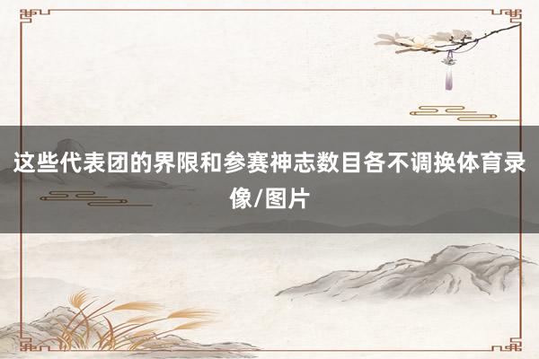 这些代表团的界限和参赛神志数目各不调换体育录像/图片