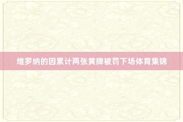 维罗纳的因累计两张黄牌被罚下场体育集锦