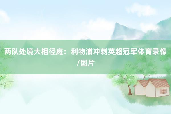两队处境大相径庭：利物浦冲刺英超冠军体育录像/图片