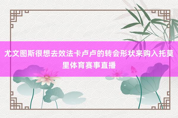 尤文图斯很想去效法卡卢卢的转会形状来购入托莫里体育赛事直播