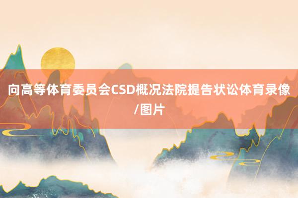 向高等体育委员会CSD概况法院提告状讼体育录像/图片