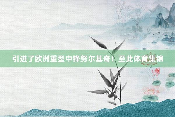 引进了欧洲重型中锋努尔基奇！至此体育集锦