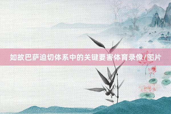 如故巴萨迫切体系中的关键要害体育录像/图片