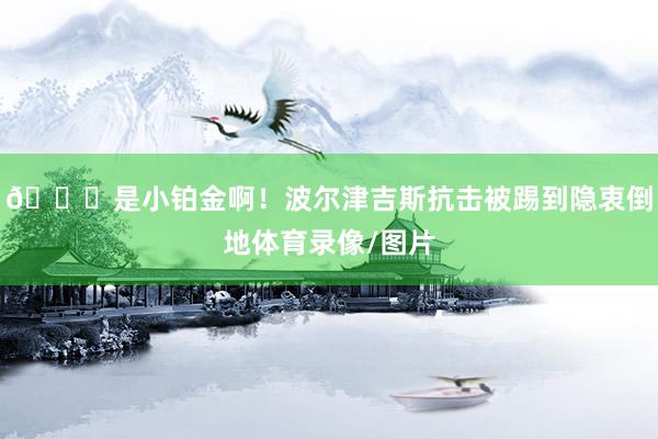 😖是小铂金啊！波尔津吉斯抗击被踢到隐衷倒地体育录像/图片