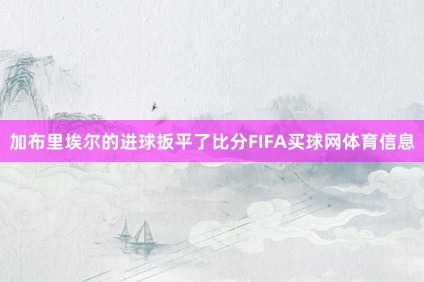 加布里埃尔的进球扳平了比分FIFA买球网体育信息