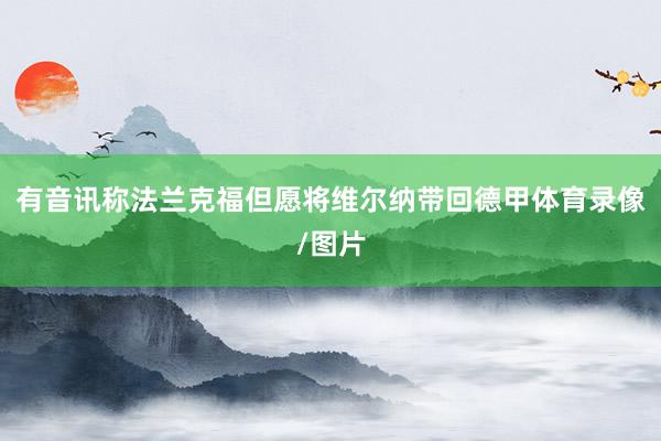 有音讯称法兰克福但愿将维尔纳带回德甲体育录像/图片