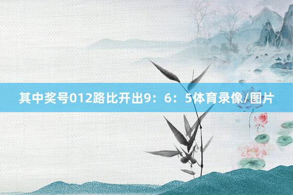 其中奖号012路比开出9：6：5体育录像/图片