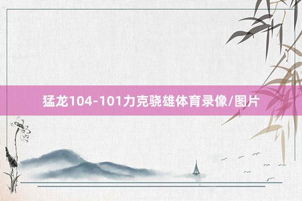 猛龙104-101力克骁雄体育录像/图片