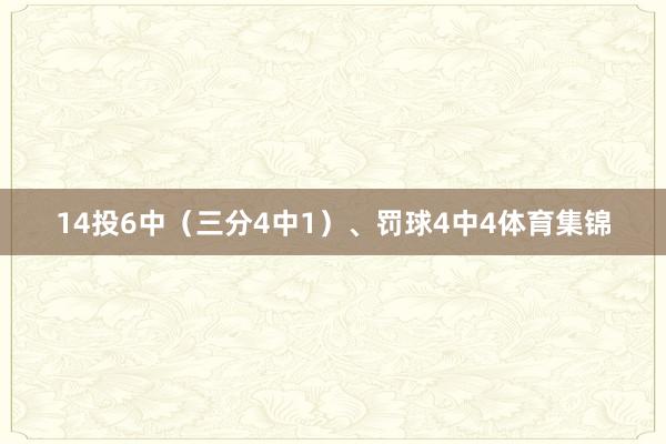 14投6中（三分4中1）、罚球4中4体育集锦