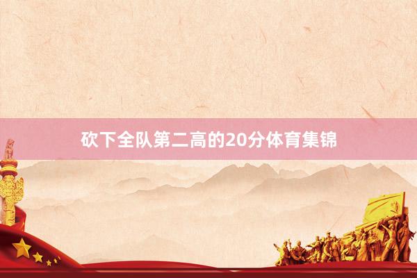砍下全队第二高的20分体育集锦