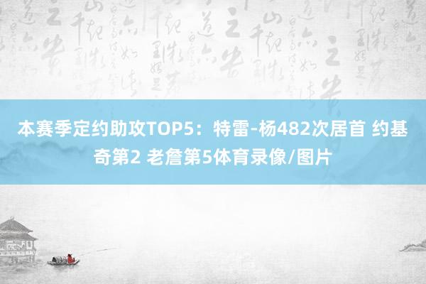 本赛季定约助攻TOP5：特雷-杨482次居首 约基奇第2 老詹第5体育录像/图片