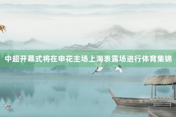 中超开幕式将在申花主场上海表露场进行体育集锦