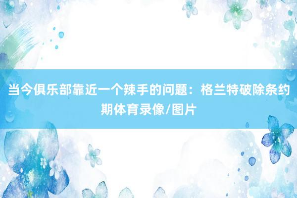 当今俱乐部靠近一个辣手的问题：格兰特破除条约期体育录像/图片