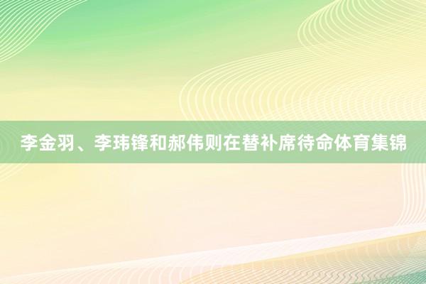 李金羽、李玮锋和郝伟则在替补席待命体育集锦