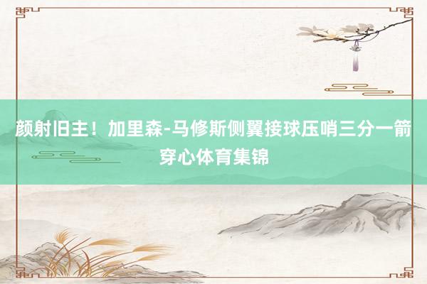颜射旧主！加里森-马修斯侧翼接球压哨三分一箭穿心体育集锦