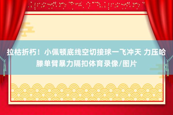 拉枯折朽！小佩顿底线空切接球一飞冲天 力压哈滕单臂暴力隔扣体育录像/图片