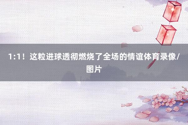 1:1！这粒进球透彻燃烧了全场的情谊体育录像/图片