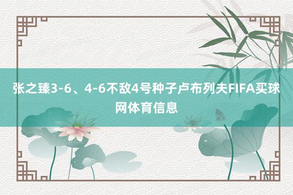 张之臻3-6、4-6不敌4号种子卢布列夫FIFA买球网体育信息