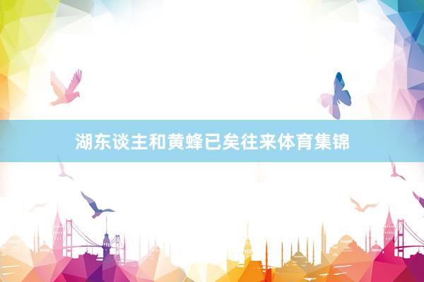 湖东谈主和黄蜂已矣往来体育集锦