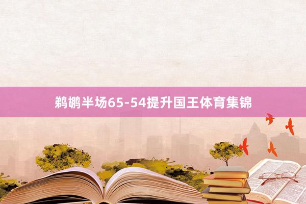 鹈鹕半场65-54提升国王体育集锦