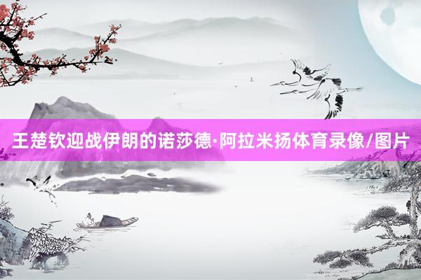 王楚钦迎战伊朗的诺莎德·阿拉米扬体育录像/图片