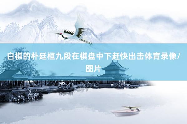 白棋的朴廷桓九段在棋盘中下赶快出击体育录像/图片