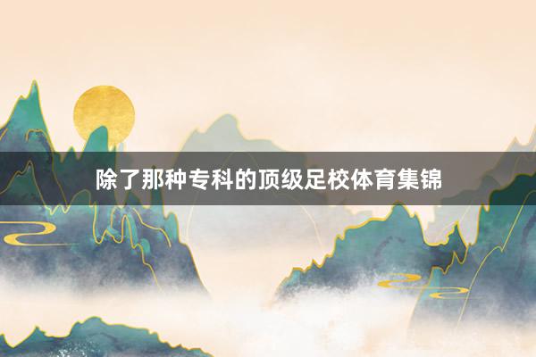 除了那种专科的顶级足校体育集锦