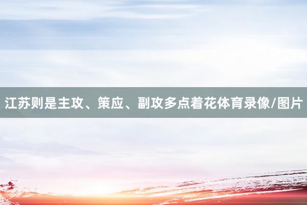 江苏则是主攻、策应、副攻多点着花体育录像/图片