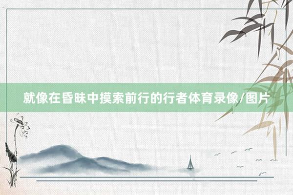 就像在昏昧中摸索前行的行者体育录像/图片