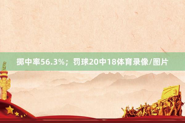 掷中率56.3%；罚球20中18体育录像/图片