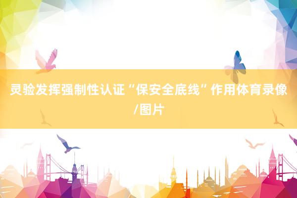 灵验发挥强制性认证“保安全底线”作用体育录像/图片