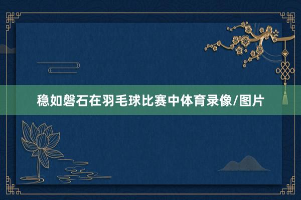 稳如磐石在羽毛球比赛中体育录像/图片