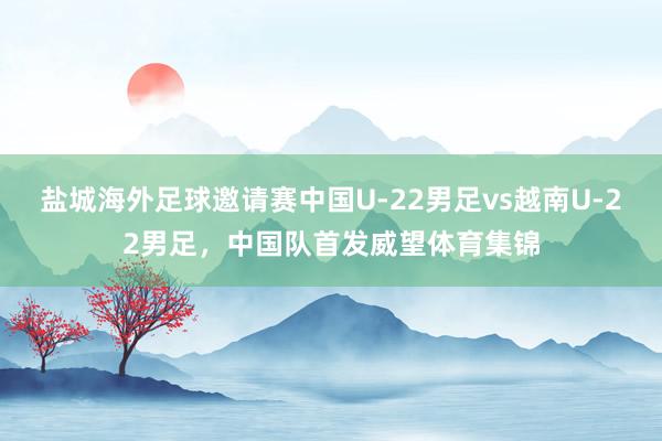 盐城海外足球邀请赛中国U-22男足vs越南U-22男足，中国队首发威望体育集锦