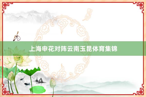上海申花对阵云南玉昆体育集锦