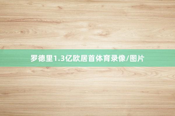 罗德里1.3亿欧居首体育录像/图片