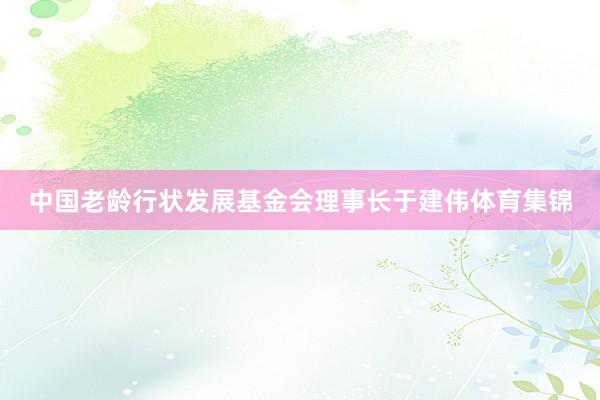 中国老龄行状发展基金会理事长于建伟体育集锦
