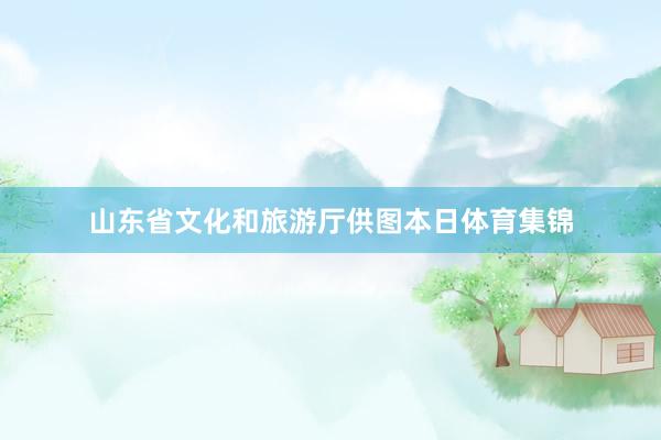 山东省文化和旅游厅供图本日体育集锦
