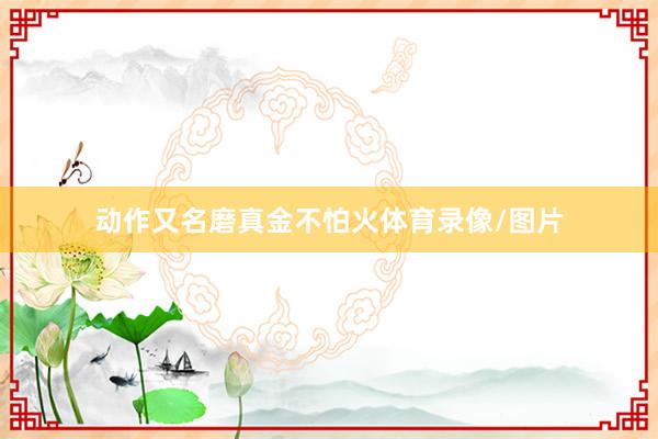 动作又名磨真金不怕火体育录像/图片