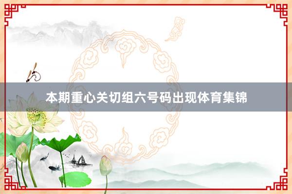 本期重心关切组六号码出现体育集锦