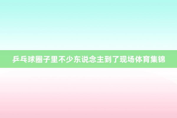 乒乓球圈子里不少东说念主到了现场体育集锦