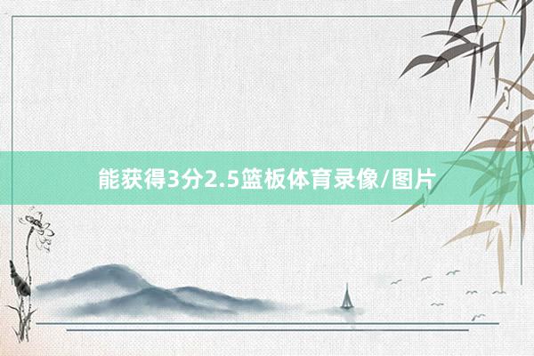 能获得3分2.5篮板体育录像/图片